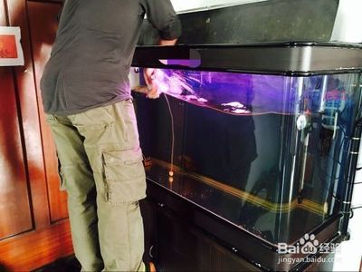 長(zhǎng)沙縣泉塘街道浪漫滿屋鮮花店 小飾物的溫馨點(diǎn)綴